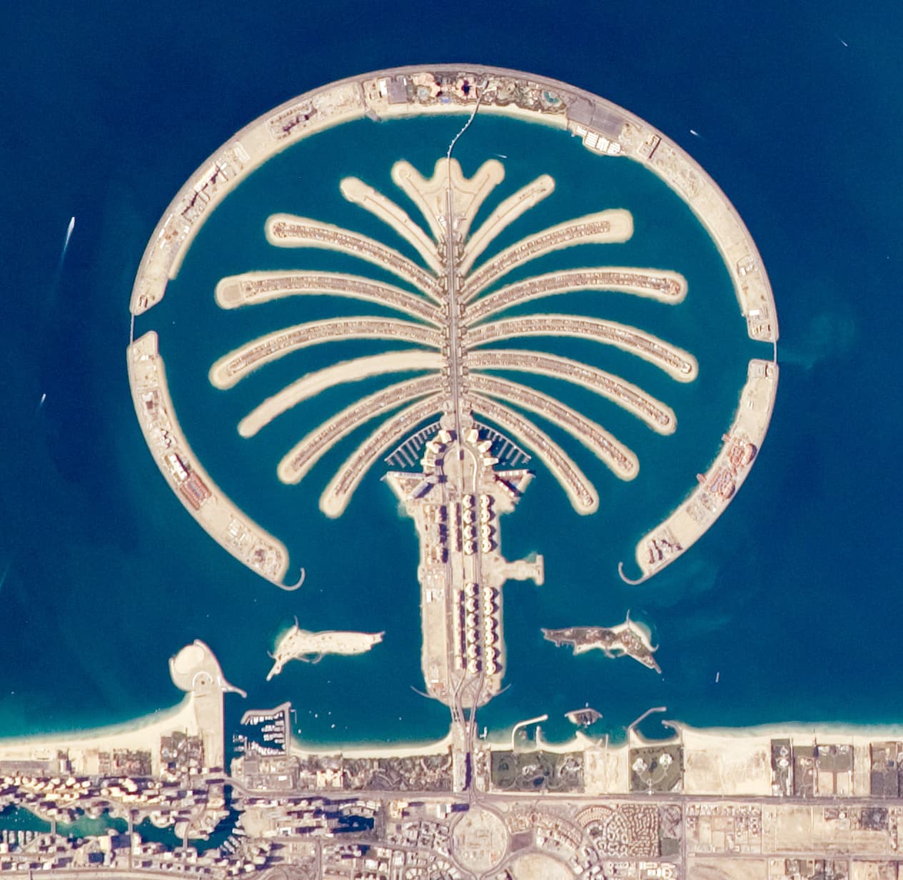 Dubai Marina & Palm Jumeirah